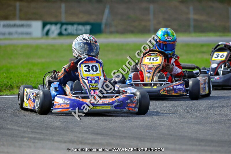 DSC_ (784).jpg